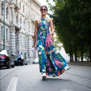 ASOS 70’s Botanical Print Maxi Dress US4